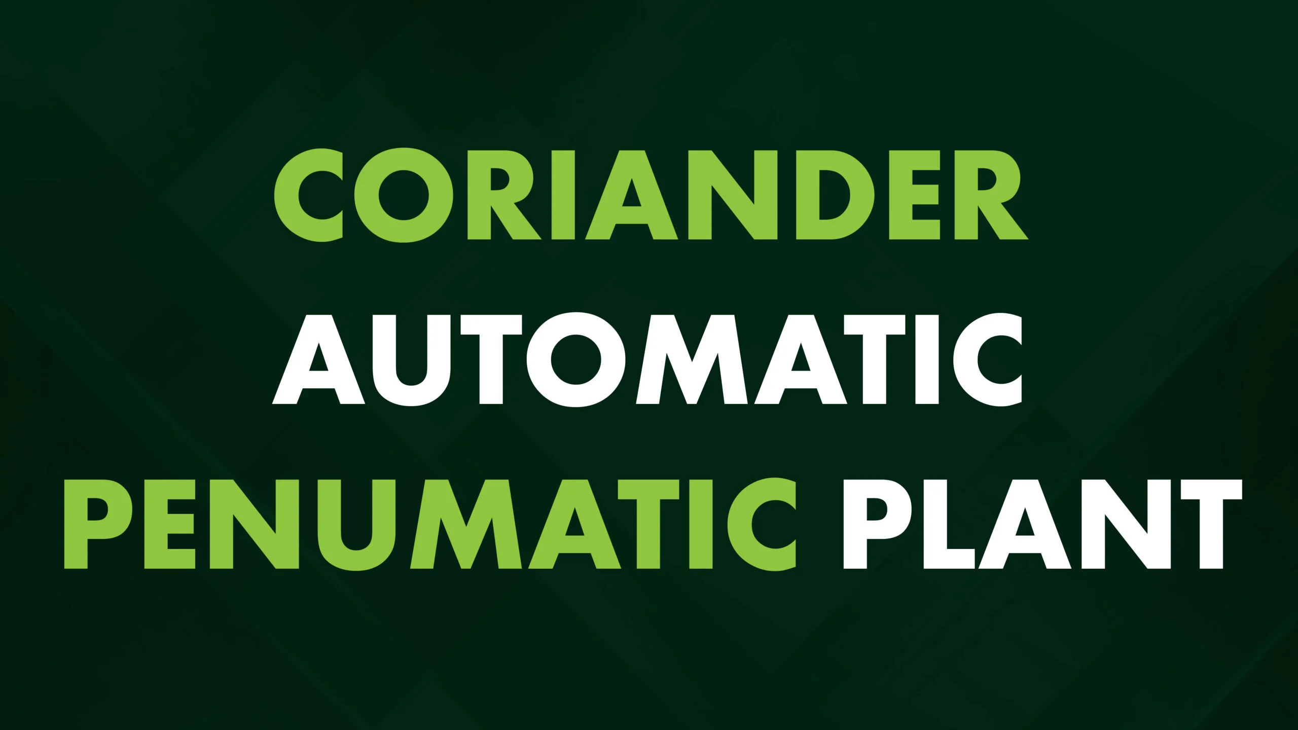 Coriander  Automatic Pneumatic Plant